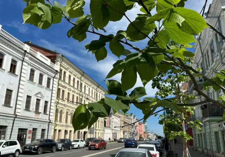 В исторической части Самары стартовал ремонт лестниц и тротуаров