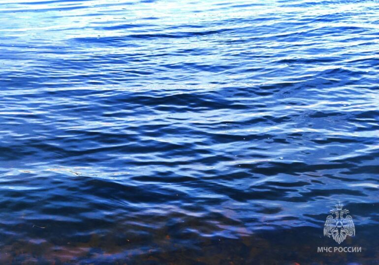 В Самарской области в Волге утонул мужчина