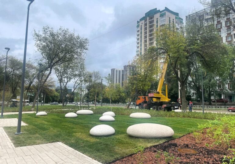 В самарском сквере Экономистов высадили 17 лиственниц