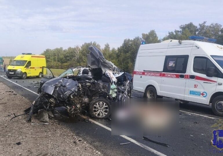 В Сергиевском районе Самарской области в массовом ДТП погибли три человека