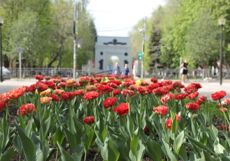 Самарцам напомнили о штрафах за выгул собак на городских газонах