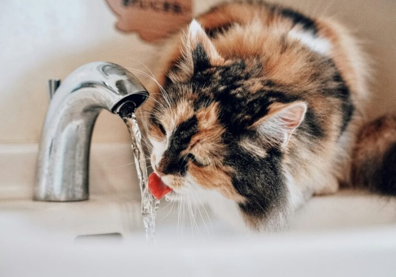 В Самаре 28 сентября возможны временные отключения холодной воды