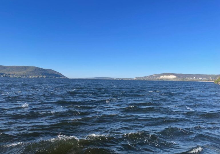 В Самаре на острове Зелененьком очистили прибрежную зону от бытового мусора и высадили молодые саженцы