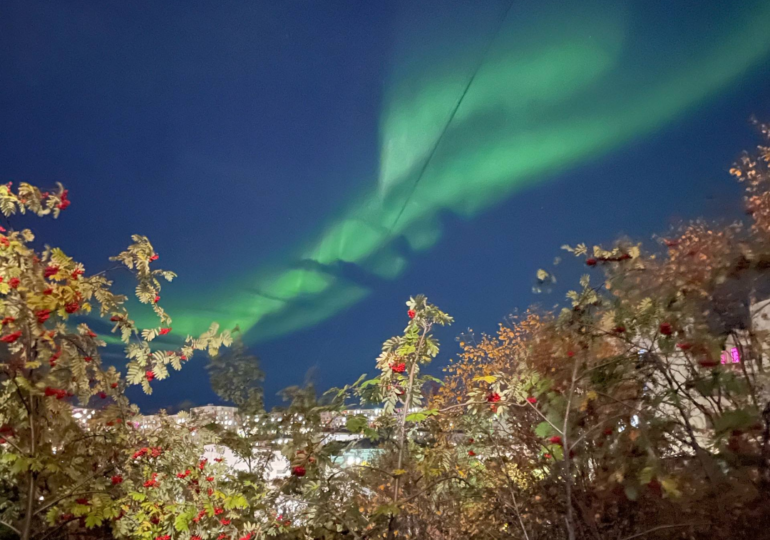 Небо над некоторыми регионами России озарило полярное сияние