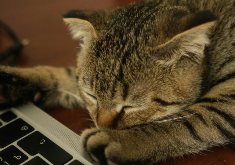 В конце октября россиян ждет шестидневная рабочая неделя