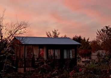 Самарцам рассказали, как подготовить огород к посадке специй