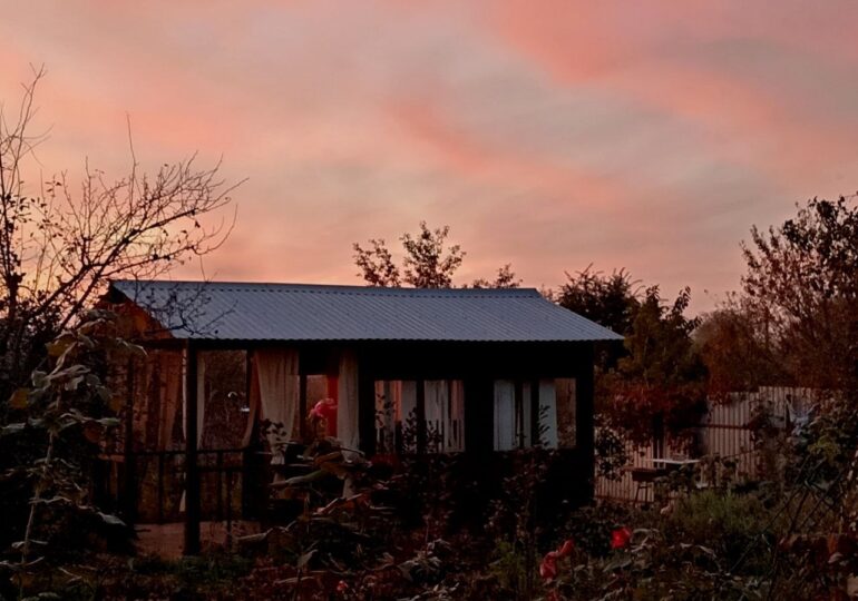 Самарцам рассказали, как подготовить огород к посадке специй