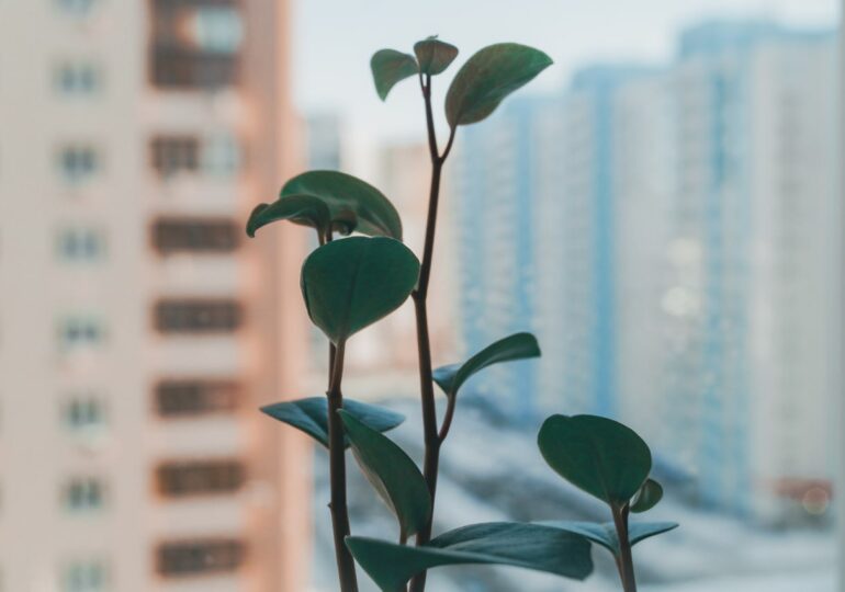 Банк России прогнозирует снижение ключевой ставки в течение всего 2026 года