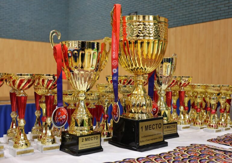 В турнире по шотокан каратэ в Самаре приняли участие 400 спортсменов