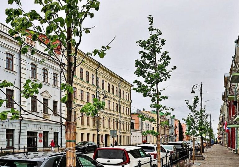 В Самаре деревья начали готовить к зимовке