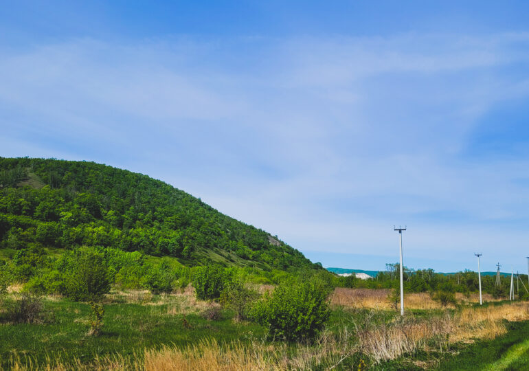 В нацпарке «Самарская Лука» завершили рекультивацию Жигулевской свалки