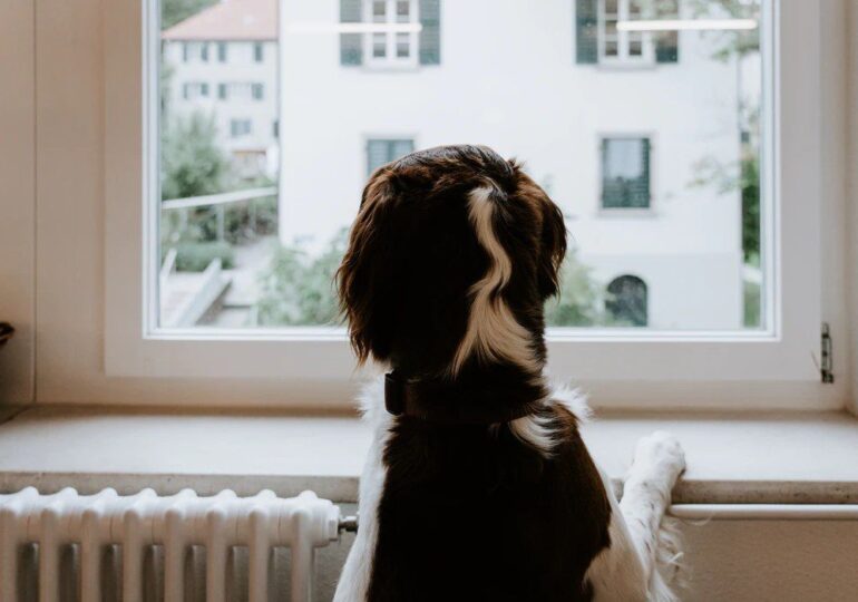 В Самаре отопили 97% жилфонда