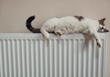 В Госдуме приняли закон, повышающий ответственность за подготовку к отопсезону