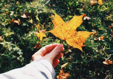 Самарцам рассказали, чего ожидать от 8 ноября
