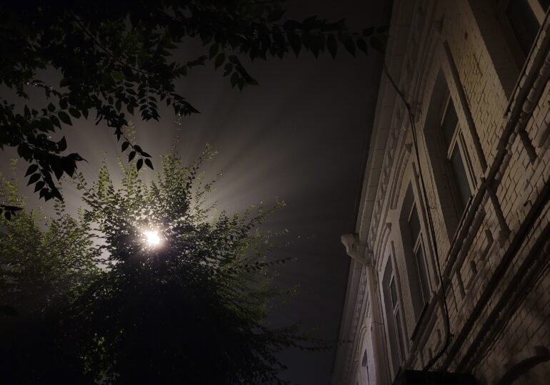 В Самарской области 22 ноября прогнозируют сильный ветер и туман