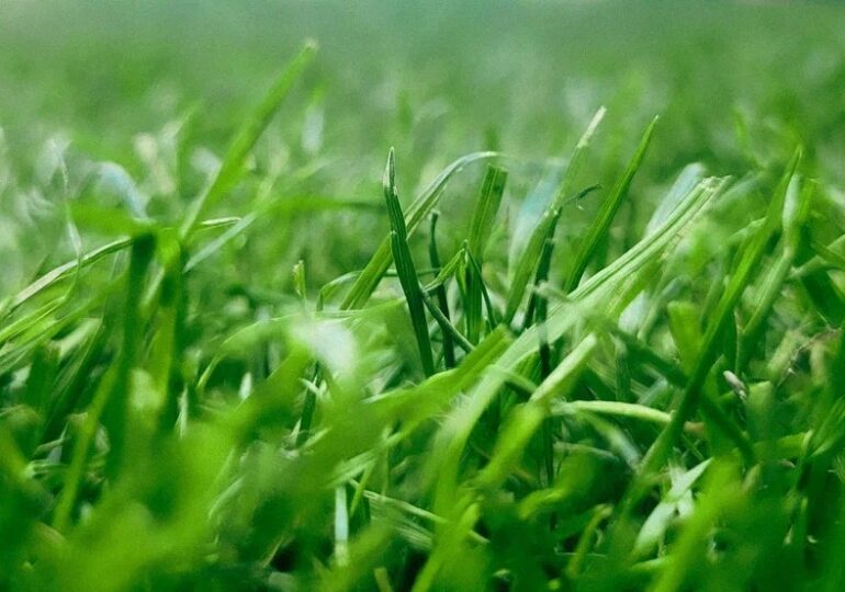 «Крылья Советов» сыграли вничью в товарищеском матче против брестского «Динамо» со счетом 1:1