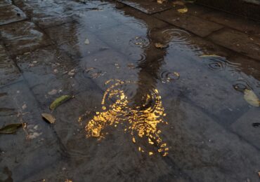 В Самаре 13 ноября прогнозируют мокрый снег