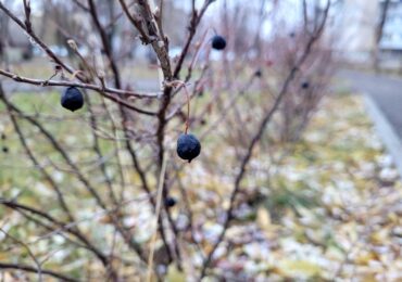 Самарцам рекомендуют работать на результат 11 ноября