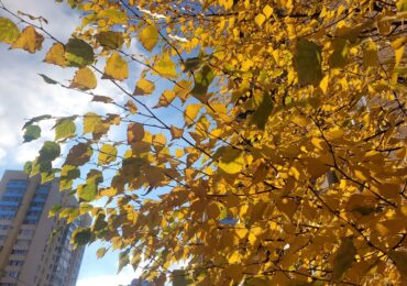 Самарцам дали астрологический прогноз на 7 ноября