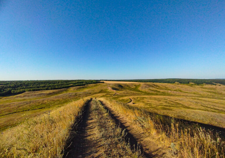 Российские ученые обнаружили свидетеля юрского периода на Куликовом поле