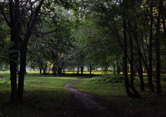 Иван Носков рассказал, какие пространства благоустроят в Самаре