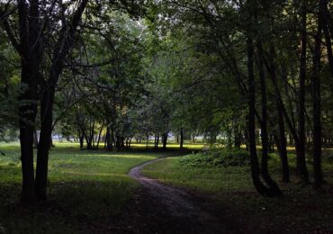 Иван Носков рассказал, какие пространства благоустроят в Самаре