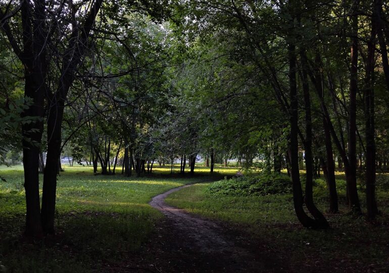 Иван Носков рассказал, какие пространства благоустроят в Самаре