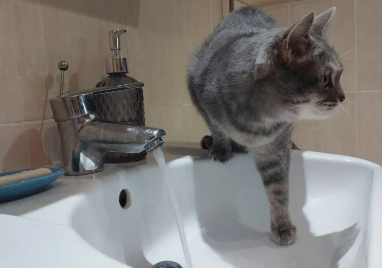 В Самаре 15 ноября возможны временные отключения холодной воды