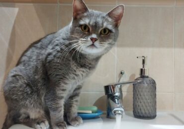 В Самаре 9 ноября могут временно отключить холодную воду