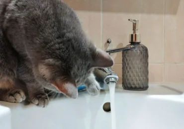 В Самаре 12 ноября возможны временные отключения холодной воды