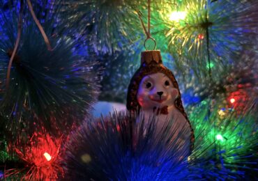 Самарцев приглашают поучаствовать в конкурсе «Новогодняя елочная игрушка 2025»