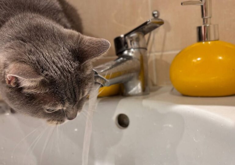 В Самаре 1 ноября возможны временные отключения холодной воды