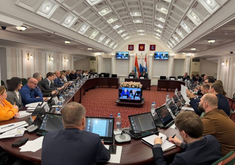 В Самаре проходит заседание профильных комитетов городской думы
