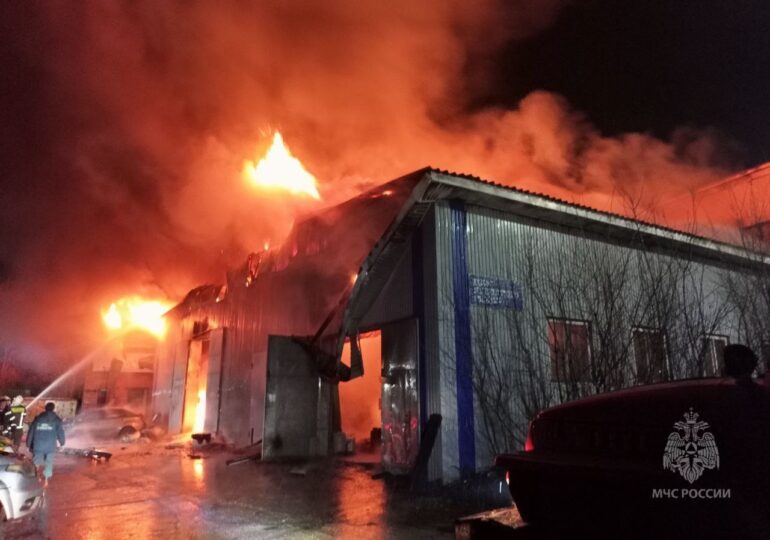 В Самарской области произошел крупный пожар