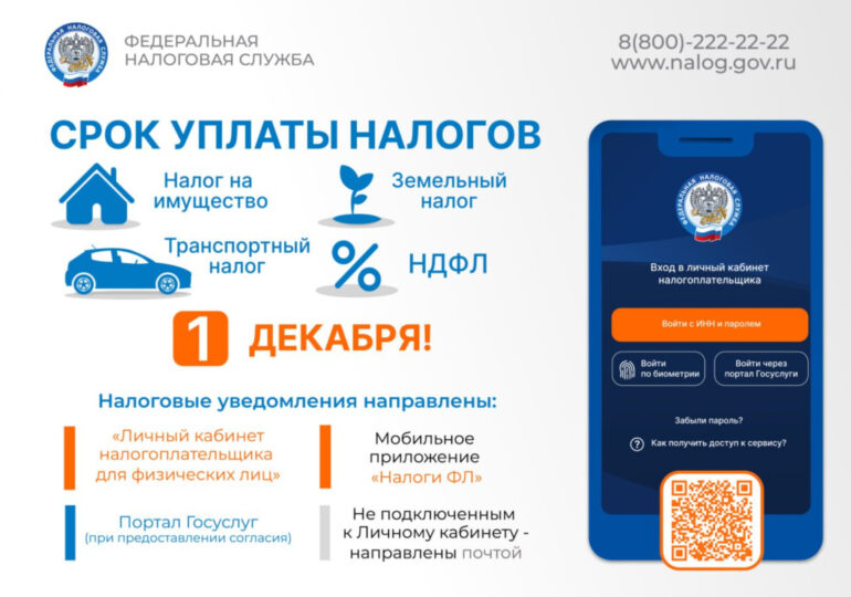 Самарцы до 1 декабря должны уплатить налоги на имущество, транспорт, землю и доходы физлиц