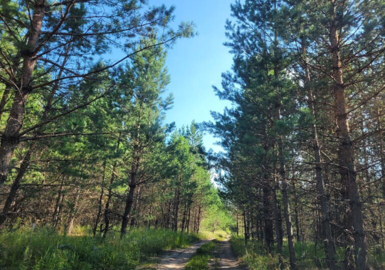 Самарцы могут познакомиться с деятельностью поисково-спасательного отряда