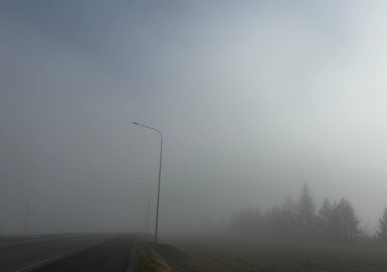 Самарскую область 18 ноября накроет густой туман