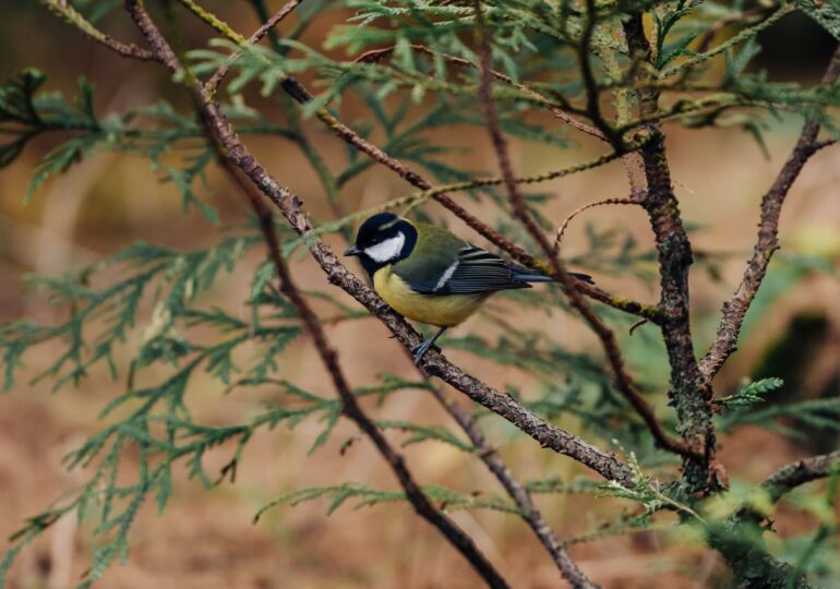 В Самаре изменили время работы Ботанического сада