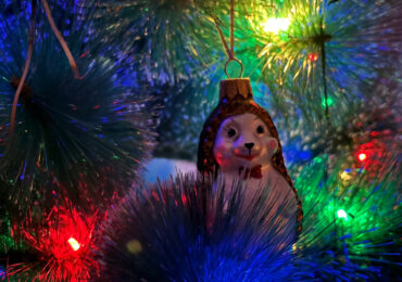 Самарцы будут отдыхать на новогодних каникулах 13 дней