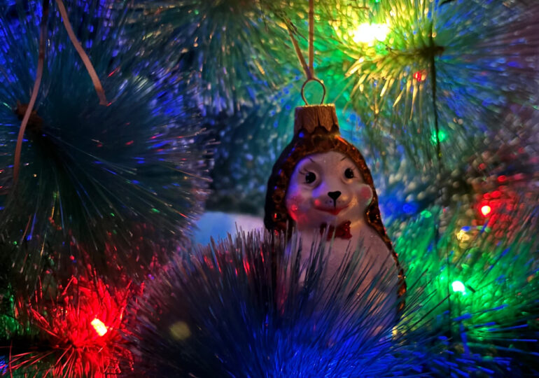 Самарцы будут отдыхать на новогодних каникулах 12 дней