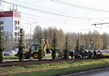 В Самаре высаживают более 2,2 тыс. деревьев и кустарников