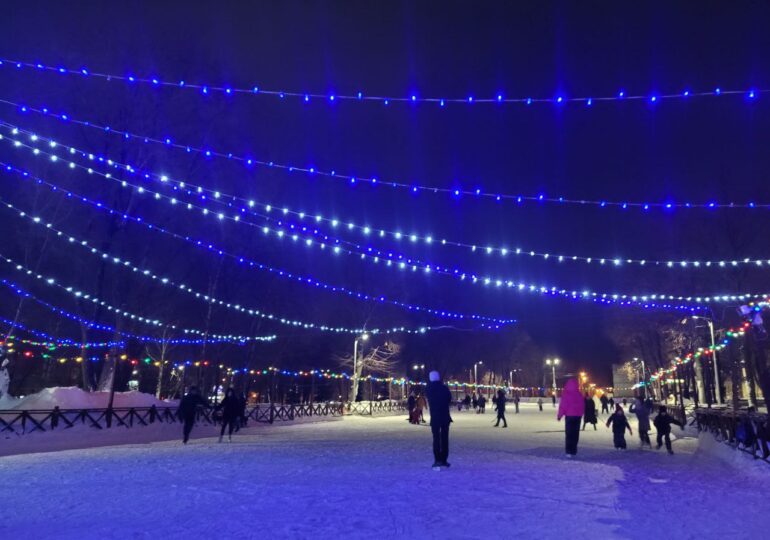 Глава Советского района Самары Вадим Бородин призвал голосовать за парк Дружбы