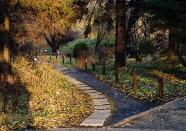 В Самаре Ботанический сад закроется для посещений на зимний период