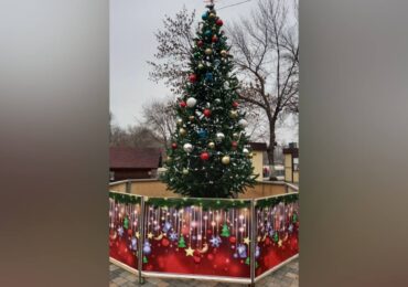 В самарском парке 50-летия Октября установили новогоднюю елку