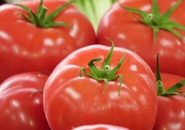 В Самарской области предотвратили ввоз 9 тонн томатов из Туркмении