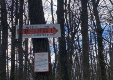 В красноглинском лесу Самары установили новые поисковые указатели