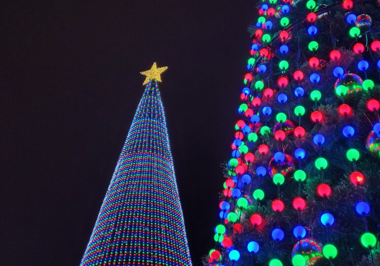 Порядка 9% самарцев планируют продлить новогодние каникулы