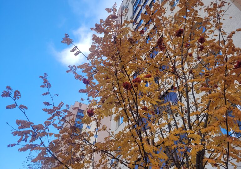 В Самарской области начали работу по обращениям с прямой линии губернатора