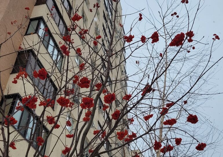 В Самаре восстановили подачу электроэнергии на 5 и 6 просеках