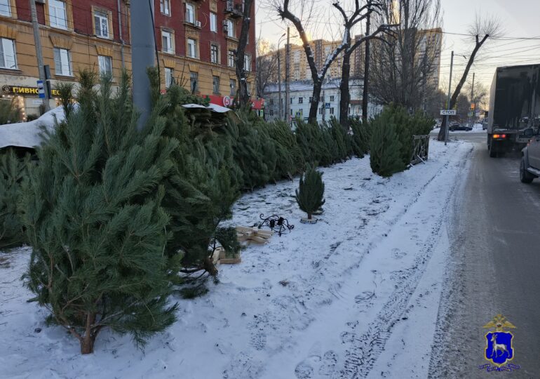 В Самаре на Физкультурной ликвидировали нелегальный елочный базар